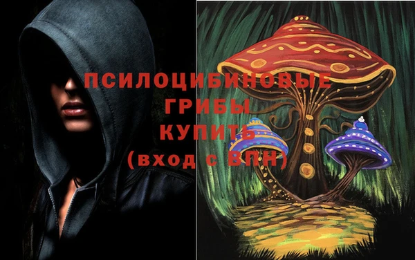 марки lsd Калининец