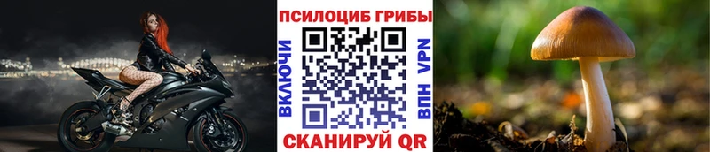 Купить  Полевской  Галлюциногенные грибы мицелий 