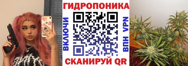 Бошки Шишки OG Kush Полевской